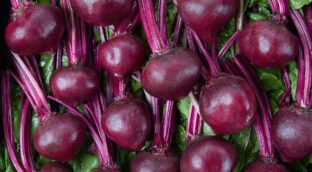 Propiedades de la remolacha roja: el superalimento que no puede faltar en tu dieta