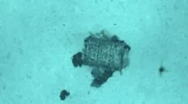 Una expedición francesa identifica  3.350 bidones con residuos radiactivos en el Atlántico