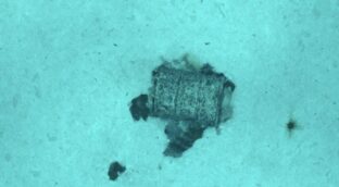 Una expedición francesa identifica 3.350 bidones con residuos radiactivos en el Atlántico