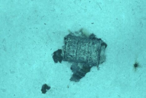 Una expedición francesa identifica  3.350 bidones con residuos radiactivos en el Atlántico