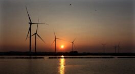 Bélgica embarga otros 73 millones a España por el impago de las primas a las renovables