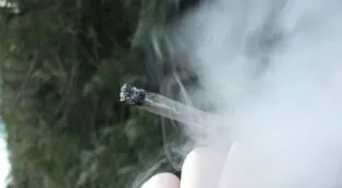 El cannabis que se fuma hoy es tres veces más tóxico que hace una década