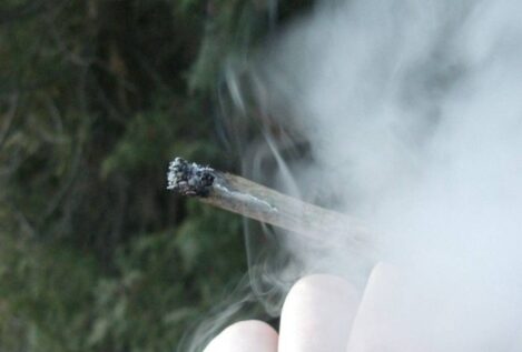 El cannabis que se fuma hoy es tres veces más tóxico que hace una década