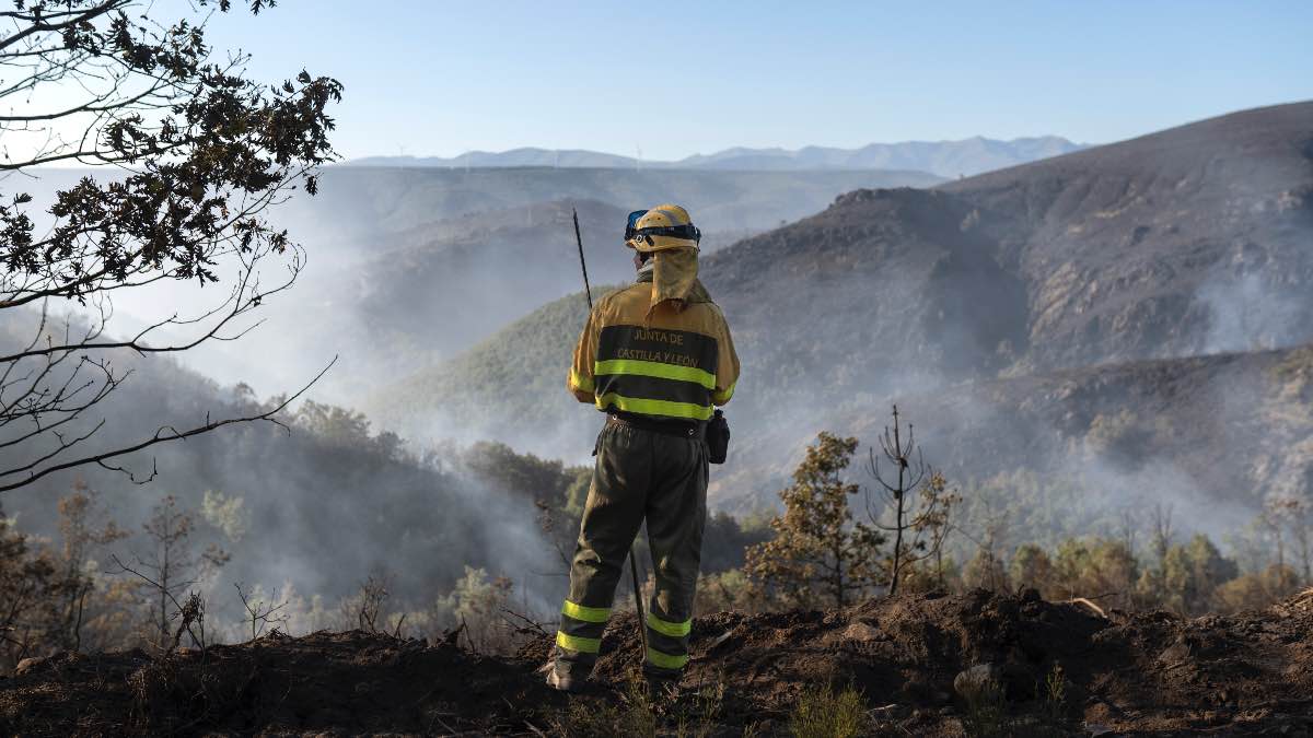 Castilla y León entra en riesgo de incendios forestales