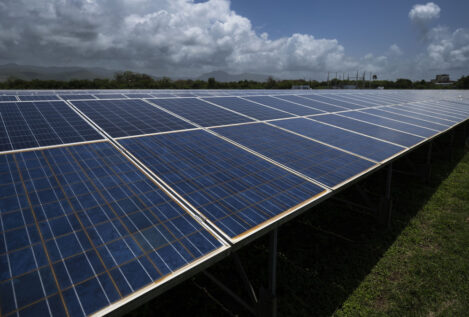 Los agricultores de Jaén exigen paralizar la tala de olivos para construir megaplantas solares