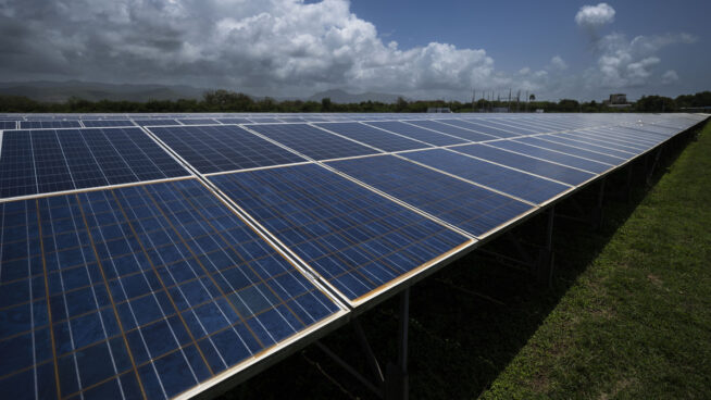 Los agricultores de Jaén exigen paralizar la tala de olivos para construir megaplantas solares