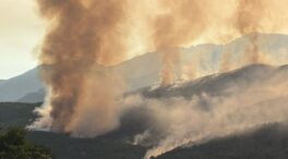 Los bomberos dan por extinguidos dos focos del incendio de Ávila y cercan el perímetro