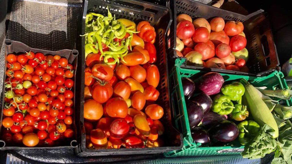 Parte del producto de las huertas de Gardening Valladolid.