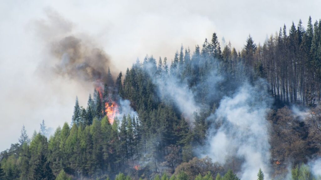 Incendio | Canva