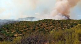 Un centenar de efectivos trabajan para controlar el fuego de la Sierra de Andújar (Jaén)