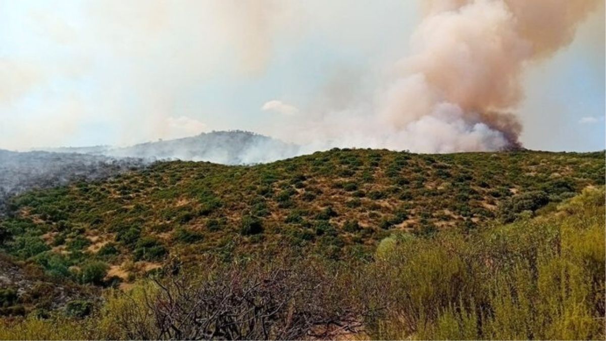 Un centenar de efectivos trabajan para controlar el fuego de la Sierra de Andújar (Jaén)