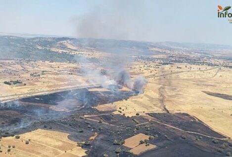 Suspendida de nuevo la circulación del AVE entre Madrid y Andalucía por un incendio