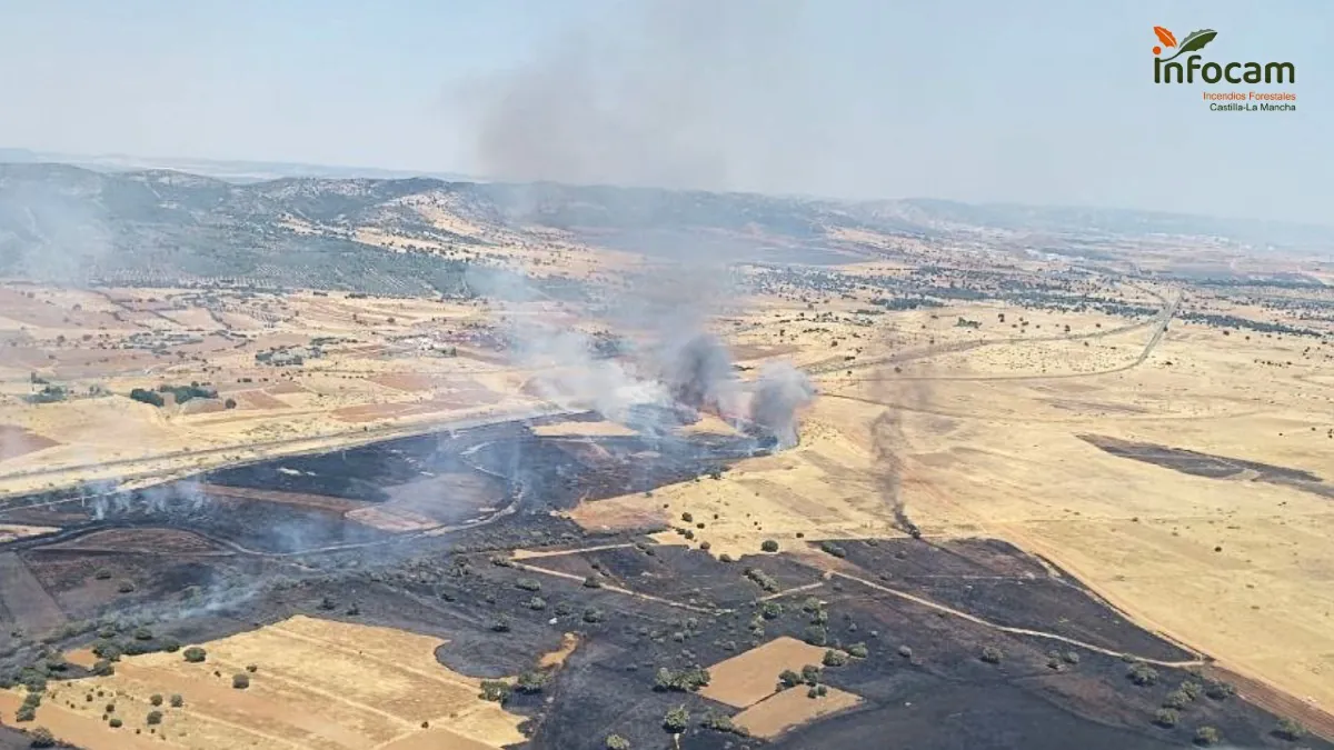 Suspendida de nuevo la circulación del AVE entre Madrid y Andalucía por un incendio