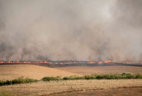 El incendio de Méntrida deja ya 2.500 hectáreas quemadas y avanza hacia Madrid