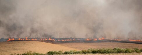 El incendio de Méntrida deja ya 2.500 hectáreas quemadas y avanza hacia Madrid
