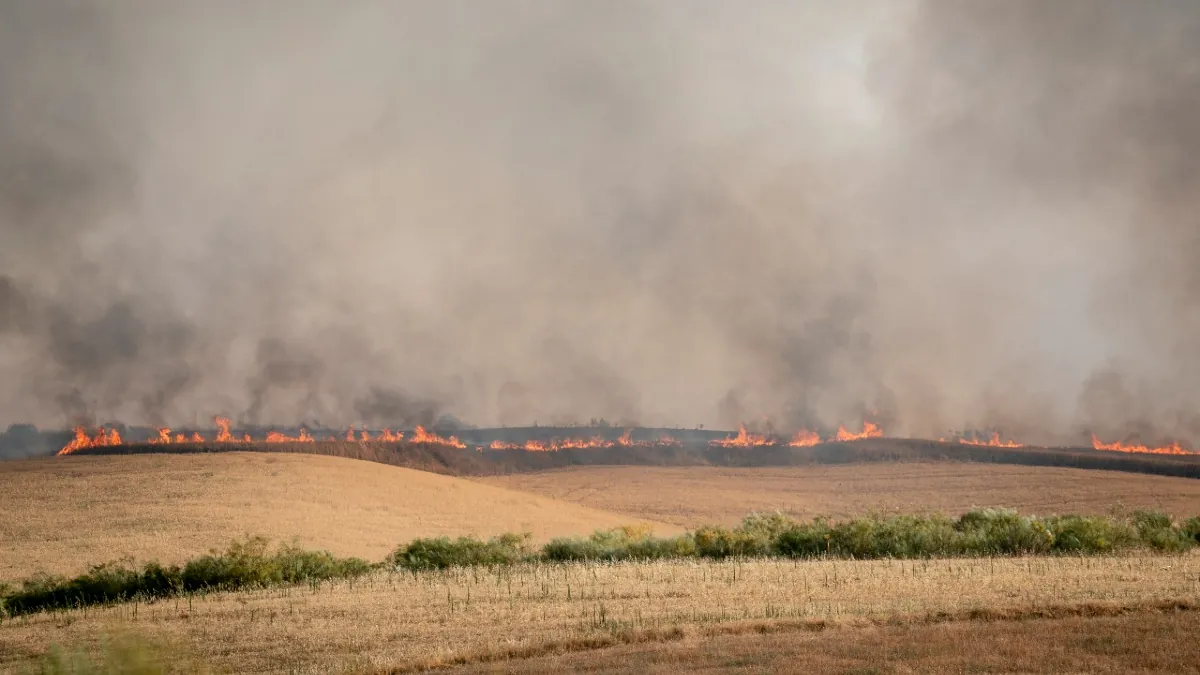 El incendio de Méntrida deja ya 2.500 hectáreas quemadas y avanza hacia Madrid