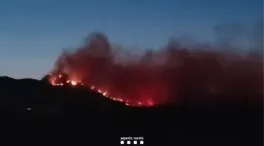 Illa solicita la intervención de la UME tras empeorar el incendio de Paüls (Tarragona)