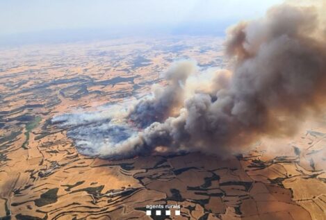 Dos muertos en el incendio de Torreflor (Lérida), estabilizado tras arder 1.830 hectáreas