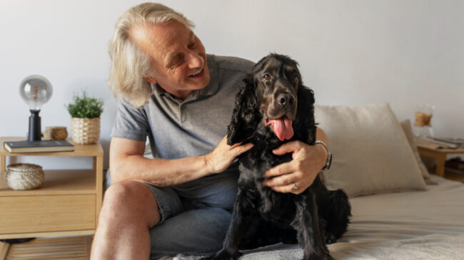 Mascotas contra la demencia: cómo perros y gatos ayudarían a frenar el deterioro cognitivo