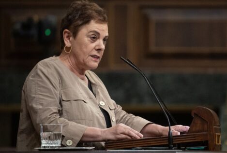 Bildu, a Sánchez: «Si la corrupción es estructural, estructural debe ser la respuesta»