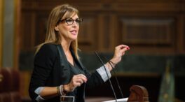 Una diputada de Vox llama «miserable» a Marlaska tras negar la medalla de Oro a un policía