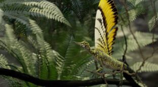 Un reptil del Triásico aporta nuevas claves sobre la evolución de las plumas