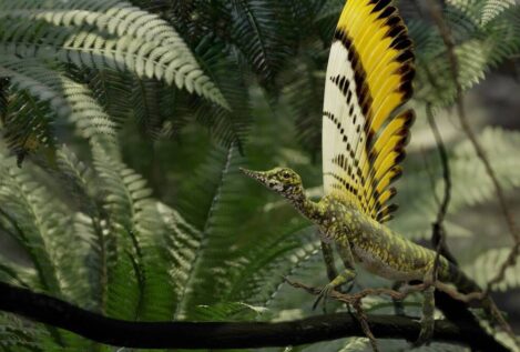 Un reptil del Triásico aporta nuevas claves sobre la evolución de las plumas