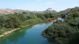 Denuncian el vertido de tres millones de litros al día de aguas residuales al río Genil en Granada