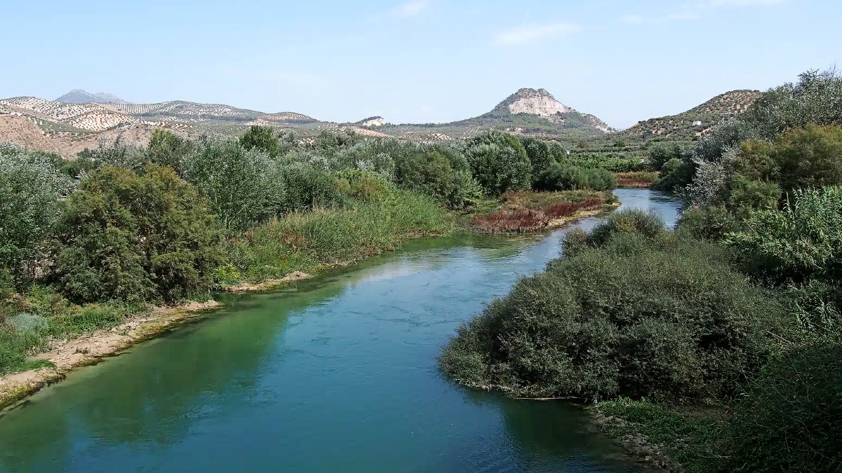 Denuncian el vertido de tres millones de litros al día de aguas residuales al río Genil en Granada