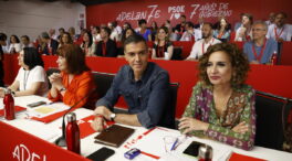 El Comité Federal del PSOE, en directo | Alegría defiende respetar decisiones de la mayoría del PSOE pese a las discrepancias con Page