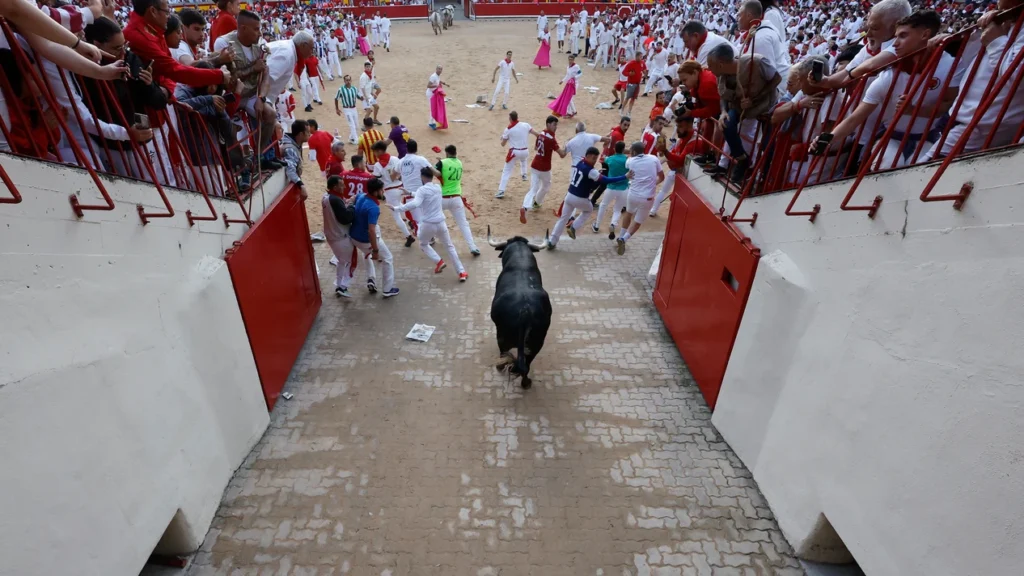 Uno de los toros de Cebada Gago entrando en la plaza de toros en el segundo encierro de San Fermín 2025 | EFE/ Villar López