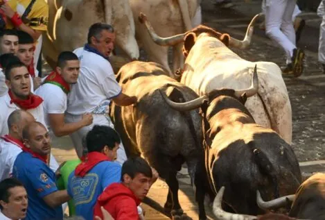 Una veloz carrera de los Miura pone punto final a los Sanfermines de 2025