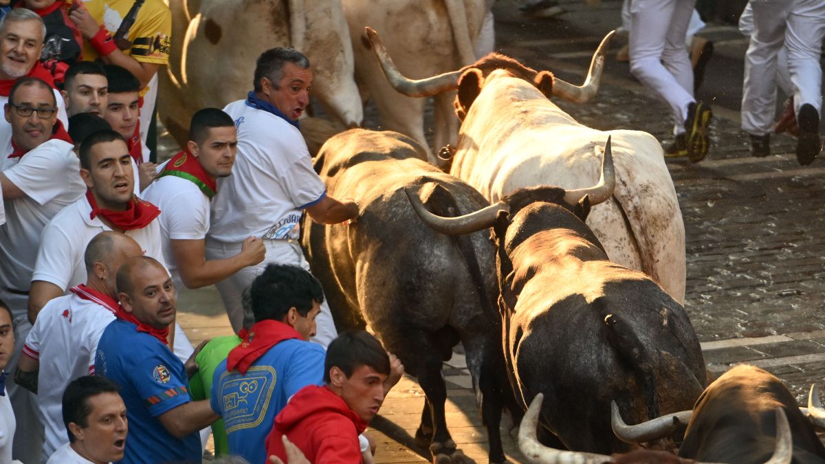 Una veloz carrera de los Miura pone punto final a los Sanfermines de 2025