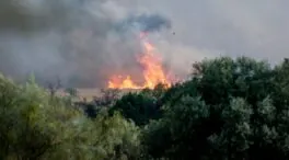 Regresan a casa las personas desalojadas como consecuencia del incendio de Méntrida