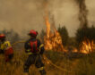 Así te hemos contado los incendios forestales en Galicia y Castilla y León