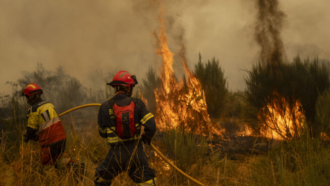 Fomentar la economía rural, el mejor antídoto contra los incendios