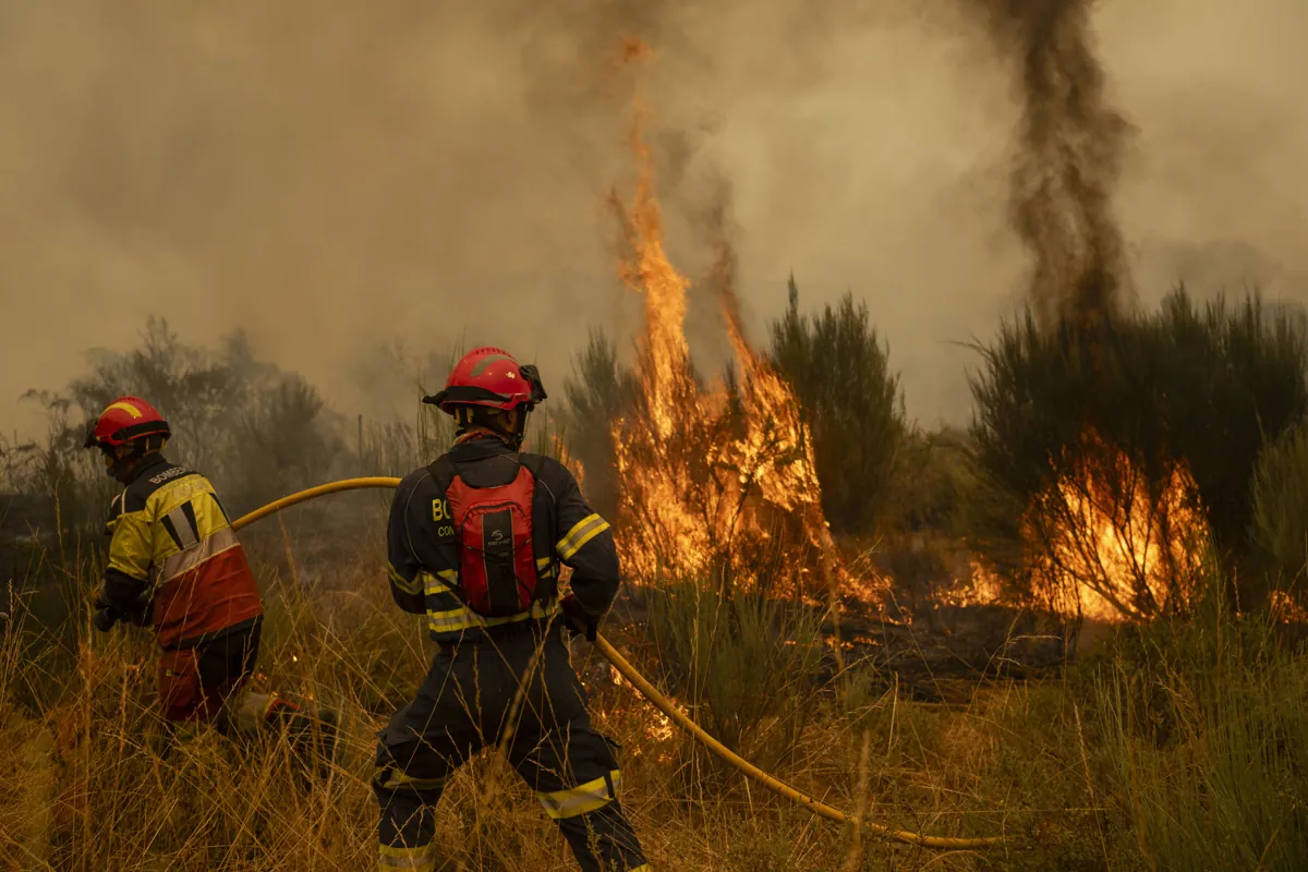 Fomentar la economía rural, el mejor antídoto contra los incendios