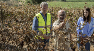 Rueda afea a Sánchez que no envíe al Ejército: «No quiere llegar a ningún pacto con el PP»