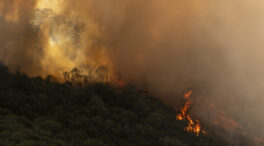 El incendio de Orense obliga a desplegar a la UME tras calcinar 500 hectáreas