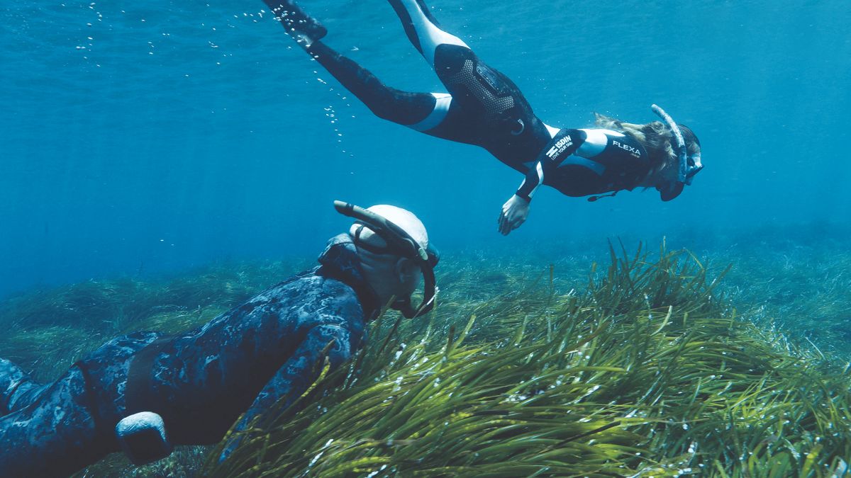 La Bluewave Alliance y la Asociación Vellmarí plantan más de 37.000 plantas de posidonia