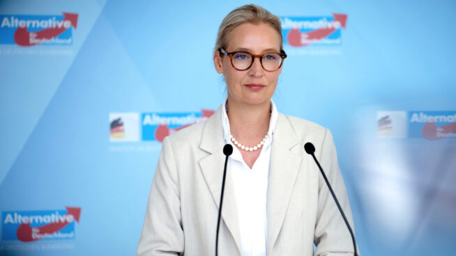 Las donaciones ilegales le han costado a AfD más de un millón de euros en multas desde 2017