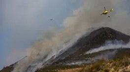 Castilla y León mantiene 16 incendios activos, 10 de gravedad y cuatro declarados este jueves
