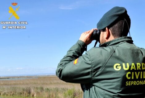 Detenido por provocar tres incendios intencionados en la Sierra de Gredos (Ávila)