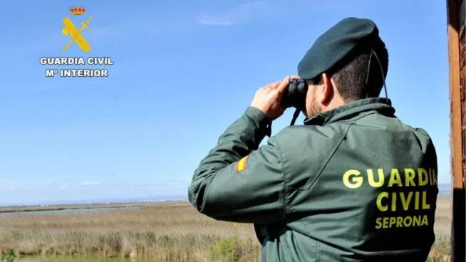 Detenido por provocar tres incendios intencionados en la Sierra de Gredos (Ávila)