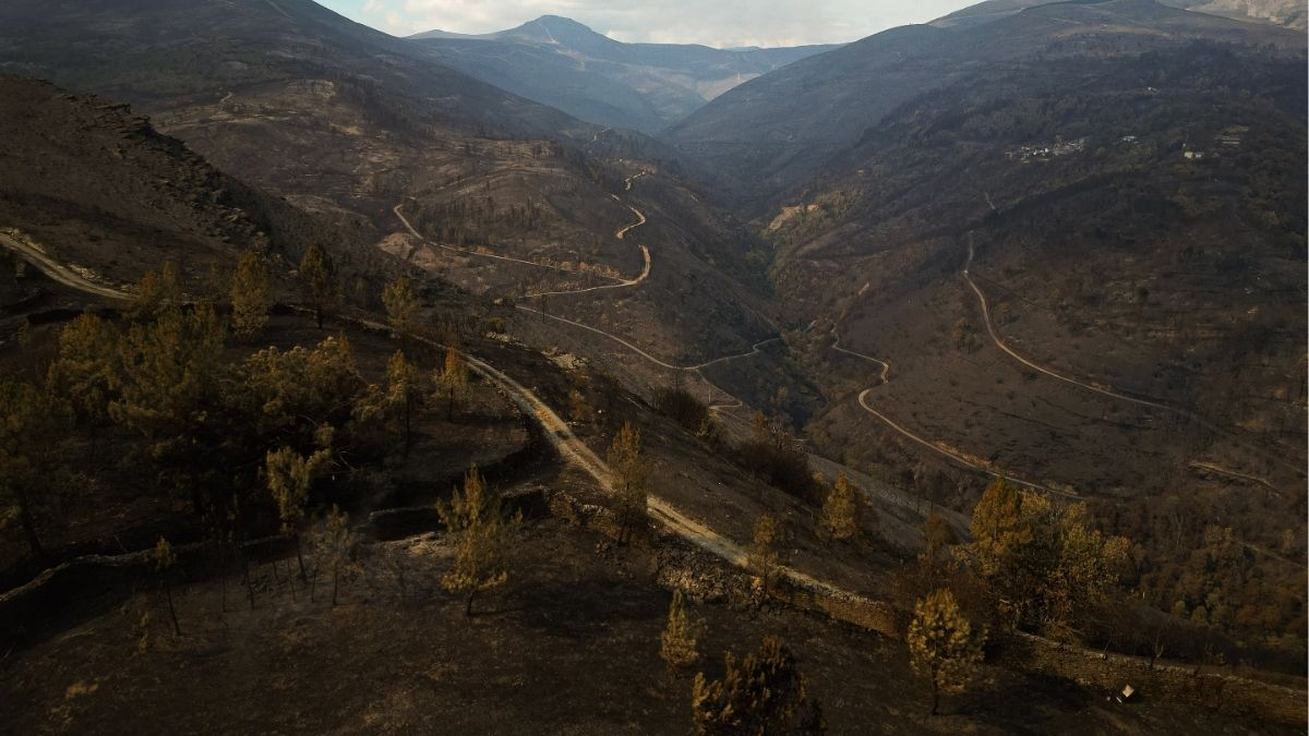 Yolanda Díaz pide una política «estable e integrada» contra el fuego