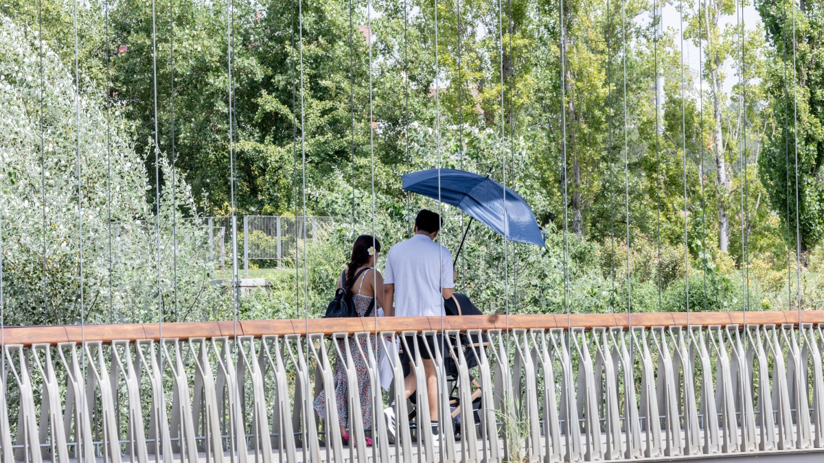 La adaptación de las ciudades al calor funciona, pero puede mejorar con más vegetación