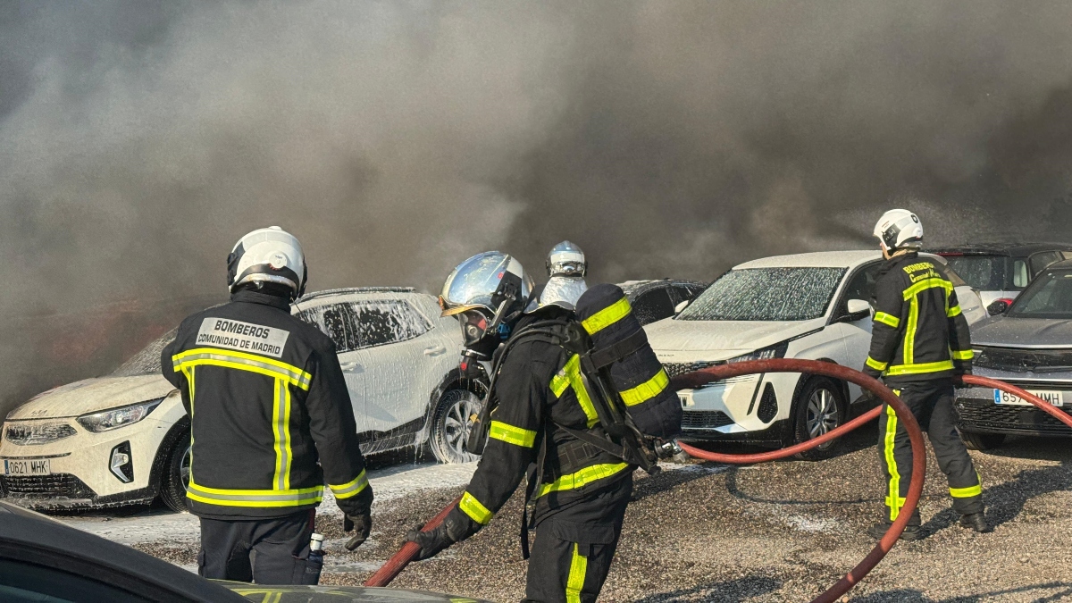 Tres detenidos y un investigado como presuntos autores de incendios en Madrid