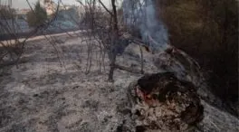 El muerto en el incendio de Tres Cantos era un trabajador de una hípica de Soto de Viñuelas