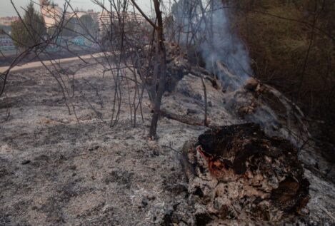 El muerto en el incendio de Tres Cantos era un trabajador de una hípica de Soto de Viñuelas