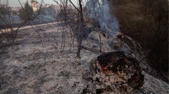 El muerto en el incendio de Tres Cantos era un trabajador de una hípica de Soto de Viñuelas